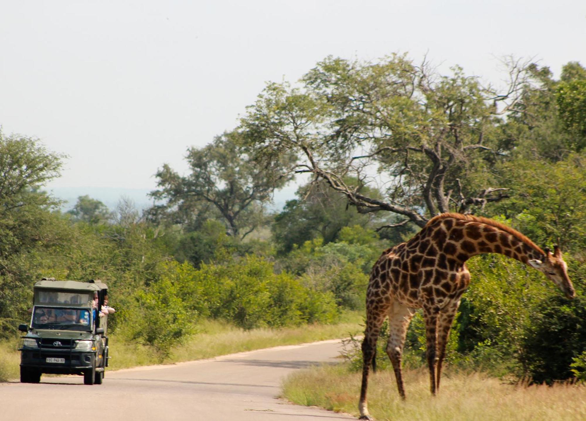 Aha Skukuza Safari Lodge Dış mekan fotoğraf