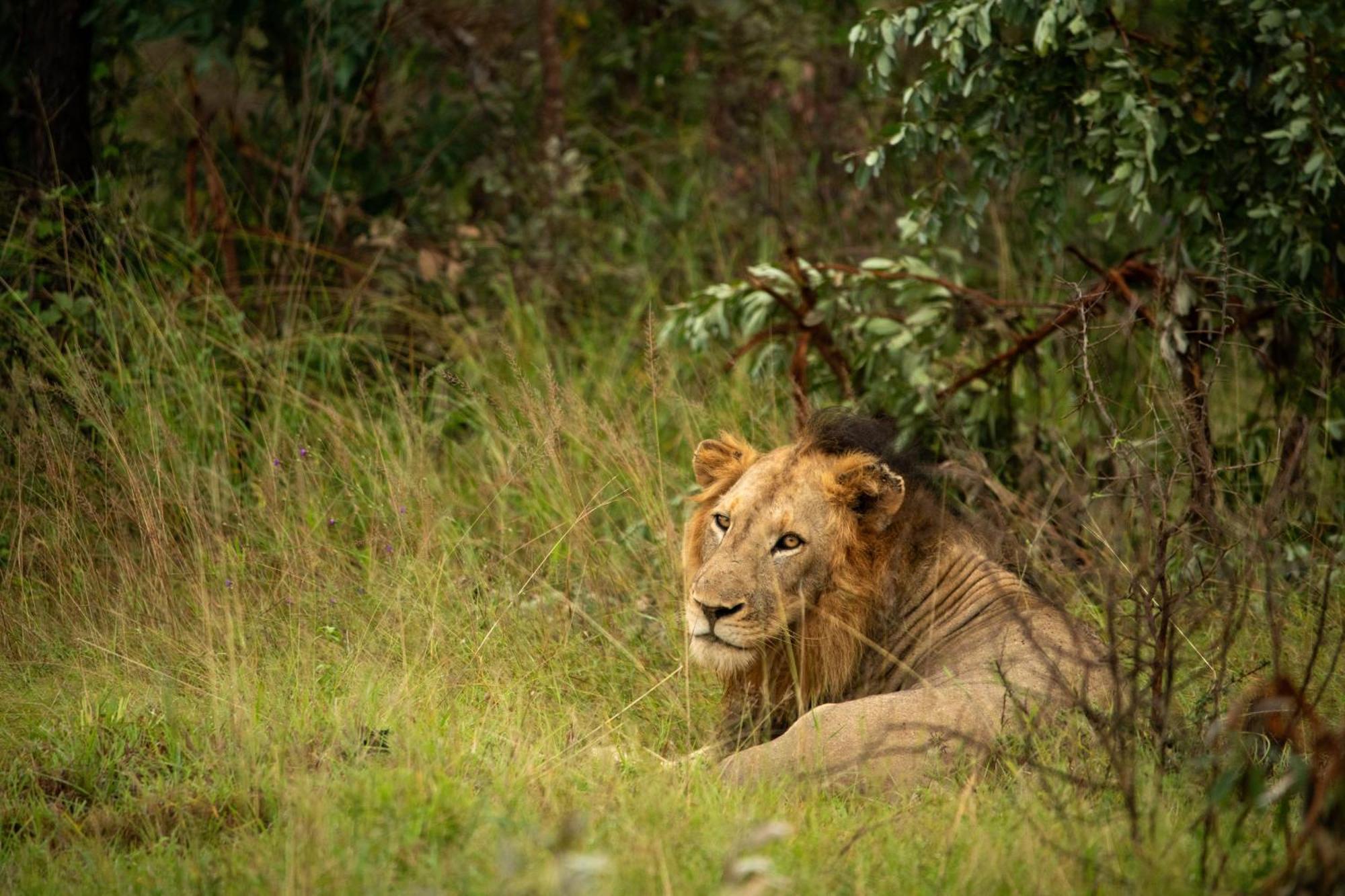 Aha Skukuza Safari Lodge Dış mekan fotoğraf