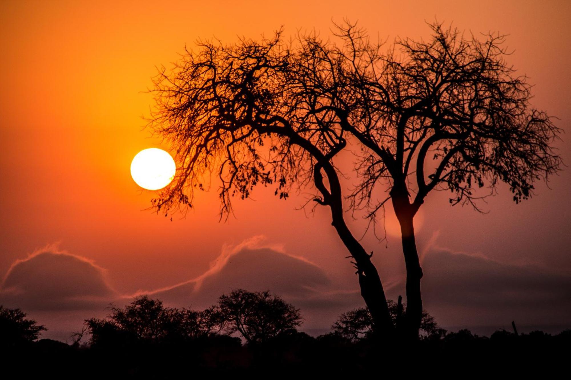 Aha Skukuza Safari Lodge Dış mekan fotoğraf